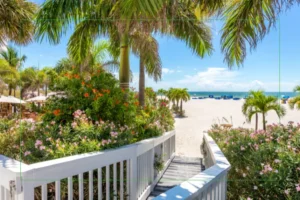 Labor Day in Florida: Preventing Sun and Screen-Related Eye Issues